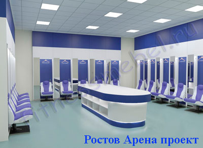 Ростов Арена проект